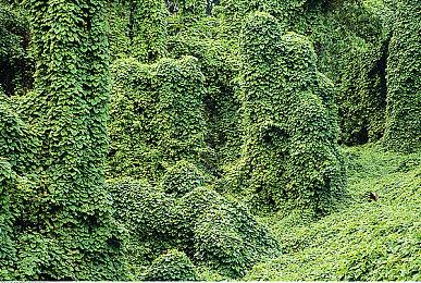 《龙之信条2》制作人解释细节 奇幻世界大冒险